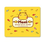 HaMi