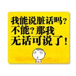 我能说脏话吗